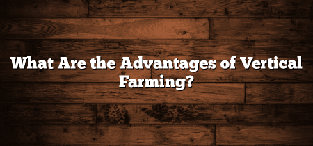 What Are the Advantages of Vertical Farming?