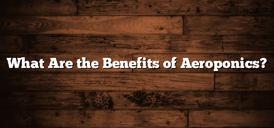 What Are the Benefits of Aeroponics?