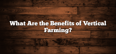 What Are the Benefits of Vertical Farming?
