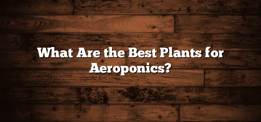 What Are the Best Plants for Aeroponics?