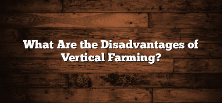 What Are the Disadvantages of Vertical Farming?
