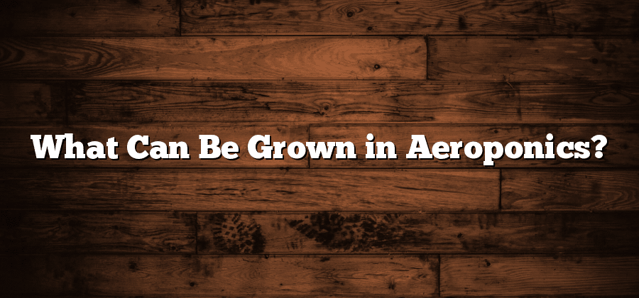 What Can Be Grown in Aeroponics?