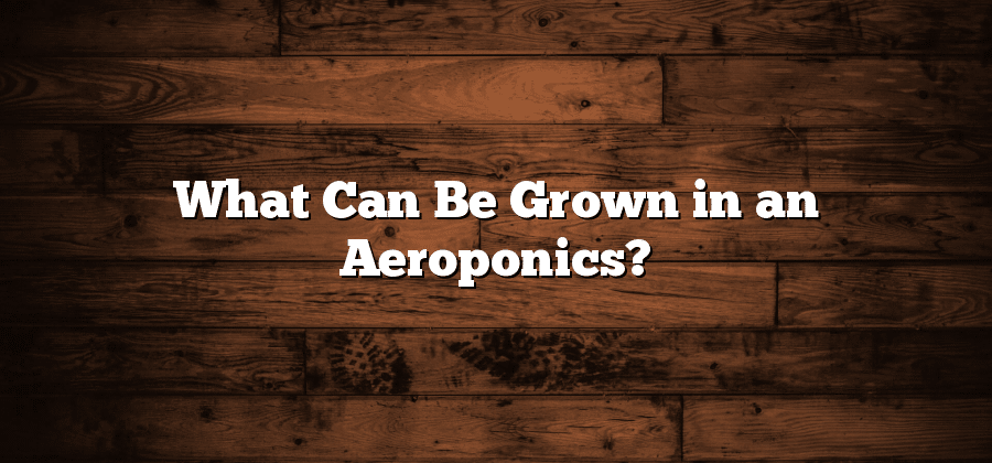 What Can Be Grown in an Aeroponics?