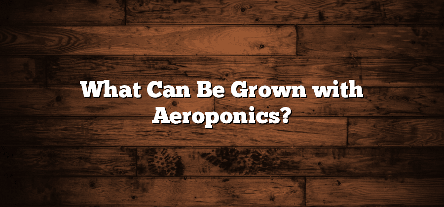 What Can Be Grown with Aeroponics?