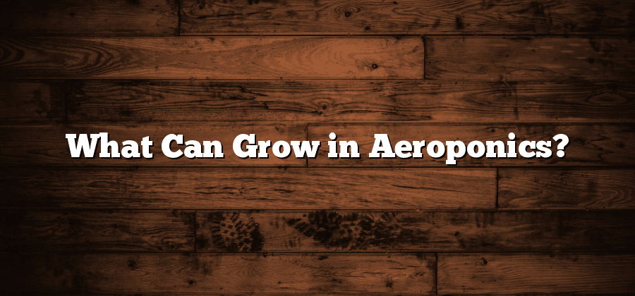 What Can Grow in Aeroponics?