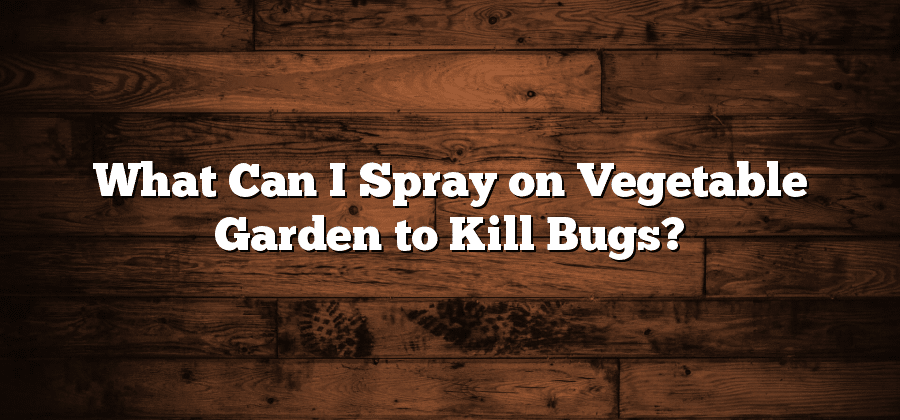 What Can I Spray on Vegetable Garden to Kill Bugs?