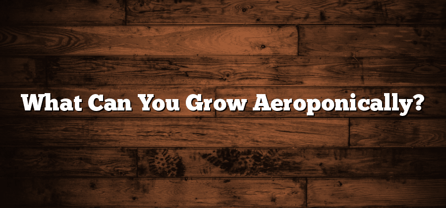 What Can You Grow Aeroponically?