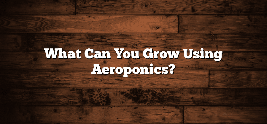 What Can You Grow Using Aeroponics?
