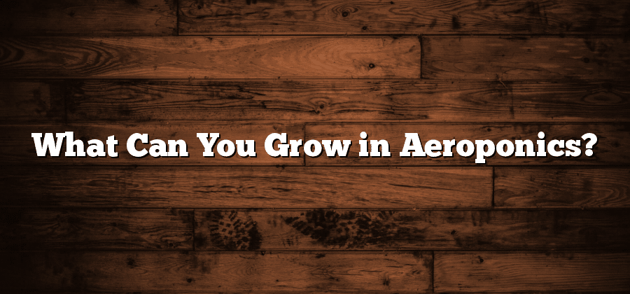 What Can You Grow in Aeroponics?