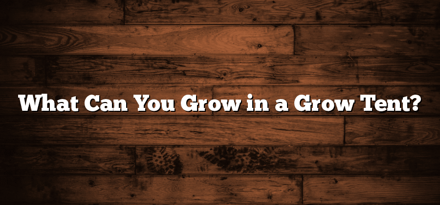 What Can You Grow in a Grow Tent?