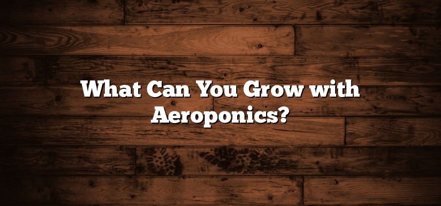 What Can You Grow with Aeroponics?