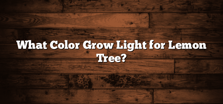 What Color Grow Light for Lemon Tree?