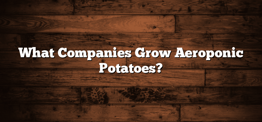What Companies Grow Aeroponic Potatoes?