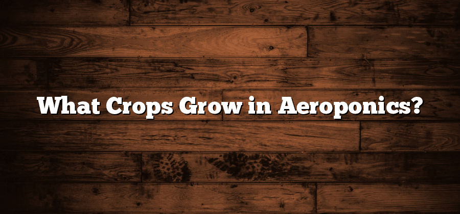 What Crops Grow in Aeroponics?