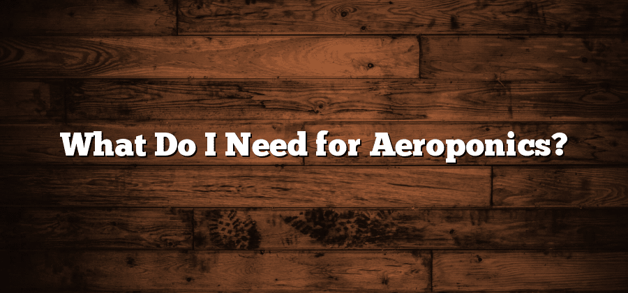 What Do I Need for Aeroponics?