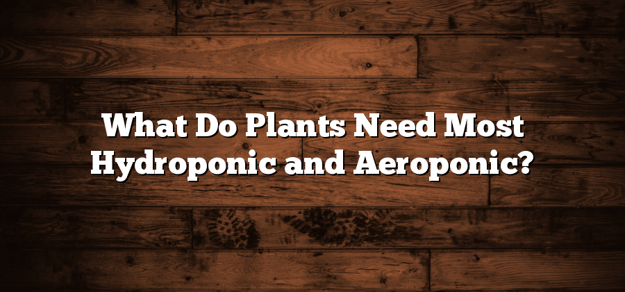 What Do Plants Need Most Hydroponic and Aeroponic?