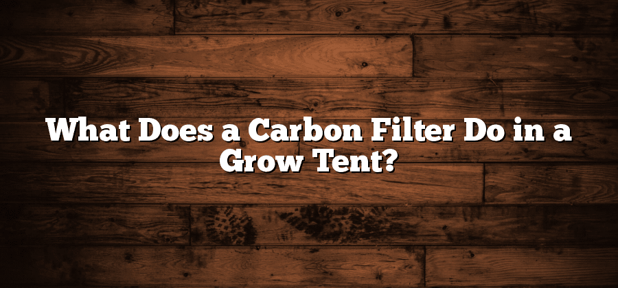 What Does a Carbon Filter Do in a Grow Tent?