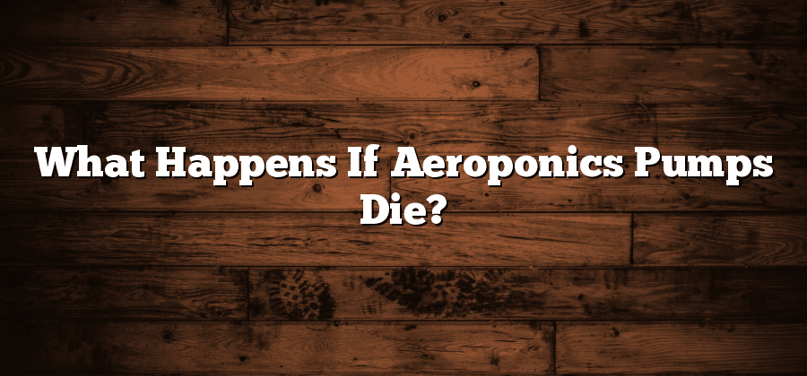 What Happens If Aeroponics Pumps Die?
