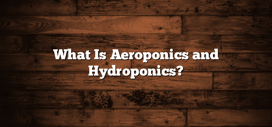 What Is Aeroponics and Hydroponics?