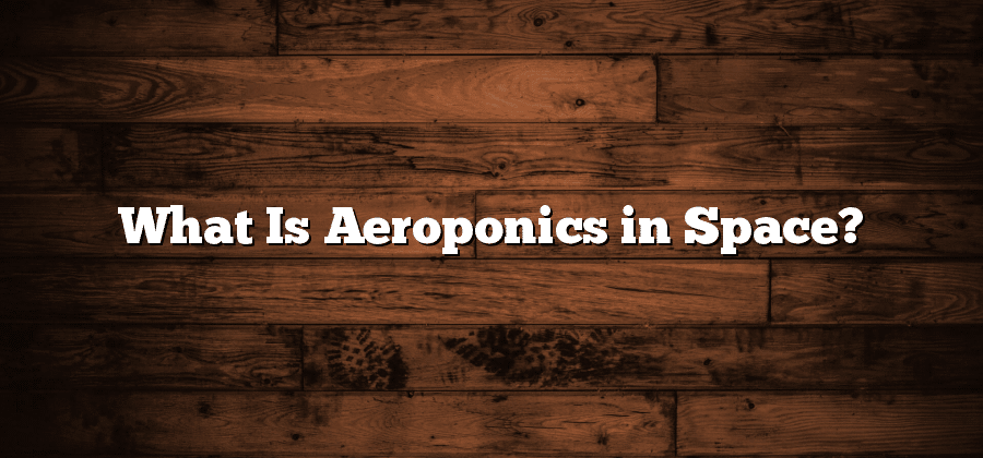 What Is Aeroponics in Space?