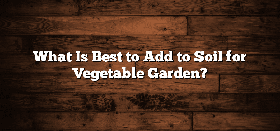 What Is Best to Add to Soil for Vegetable Garden?