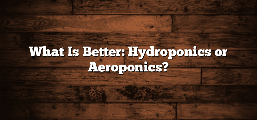 What Is Better: Hydroponics or Aeroponics?