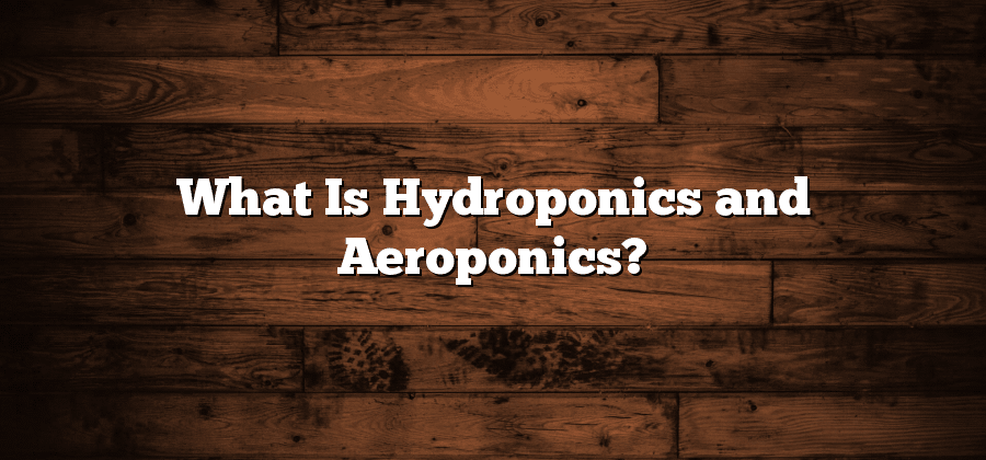 What Is Hydroponics and Aeroponics?