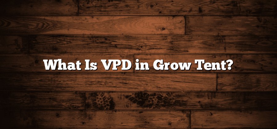 What Is VPD in Grow Tent?