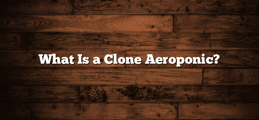 What Is a Clone Aeroponic?