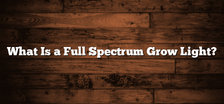 What Is a Full Spectrum Grow Light?