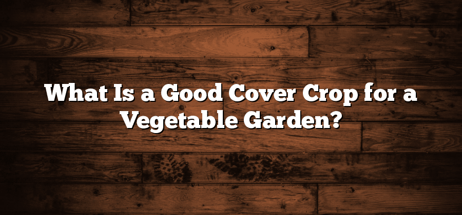 What Is a Good Cover Crop for a Vegetable Garden?
