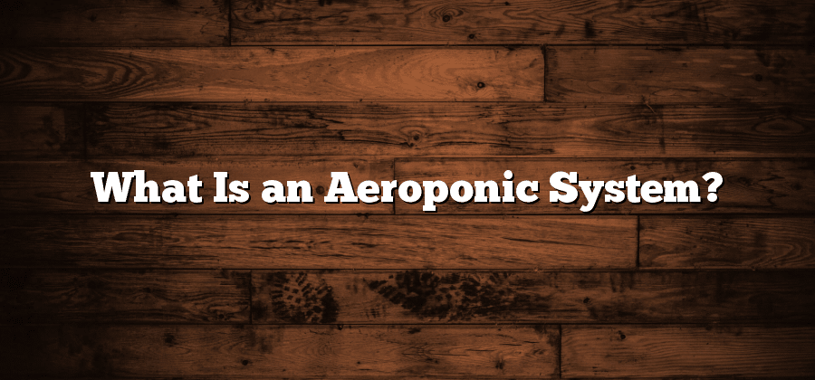 What Is an Aeroponic System?