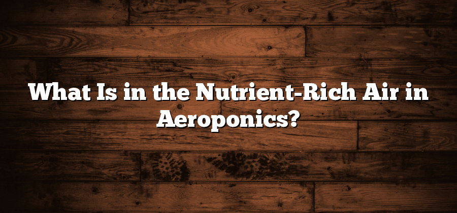 What Is in the Nutrient-Rich Air in Aeroponics?