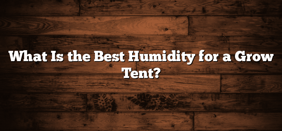 What Is the Best Humidity for a Grow Tent?