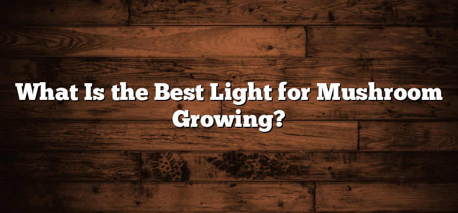 What Is the Best Light for Mushroom Growing?