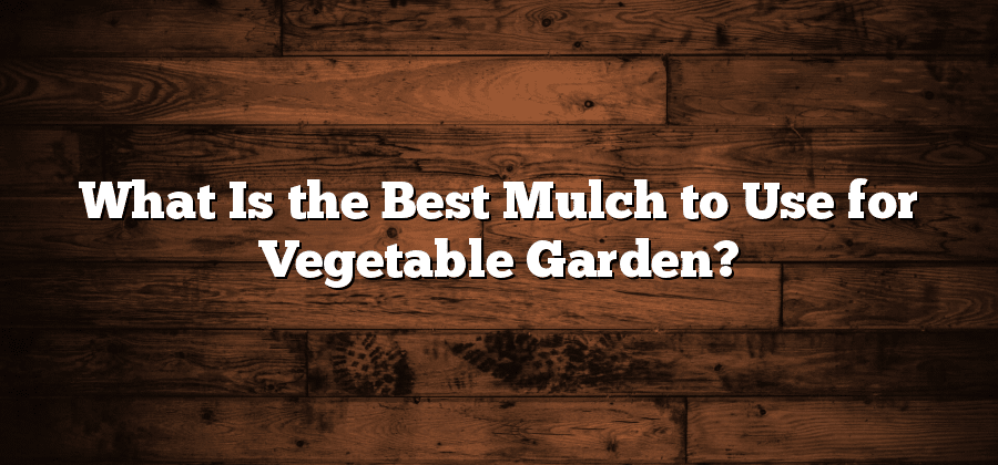 What Is the Best Mulch to Use for Vegetable Garden?
