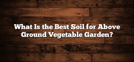 What Is the Best Soil for Above Ground Vegetable Garden?