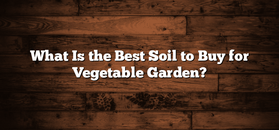 What Is the Best Soil to Buy for Vegetable Garden?