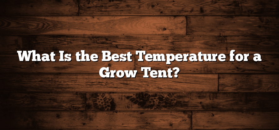 What Is the Best Temperature for a Grow Tent?