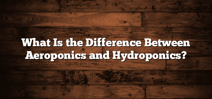 What Is the Difference Between Aeroponics and Hydroponics?