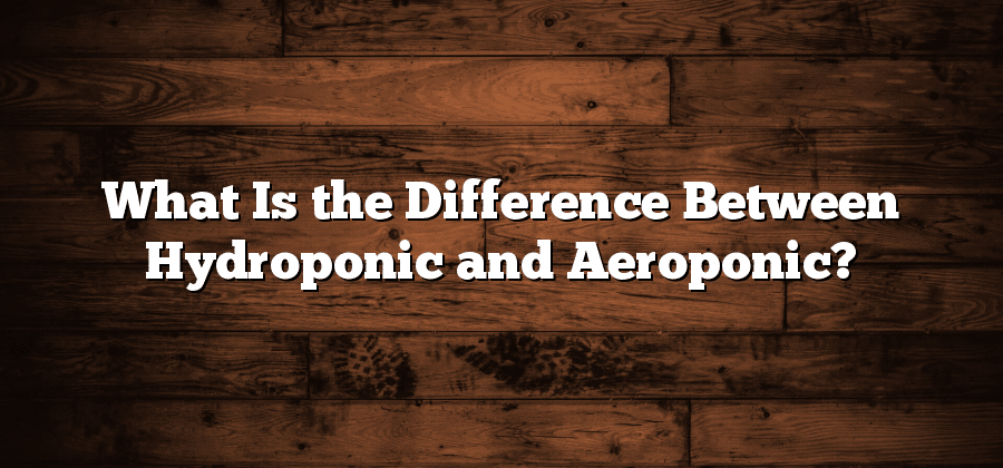 What Is the Difference Between Hydroponic and Aeroponic?