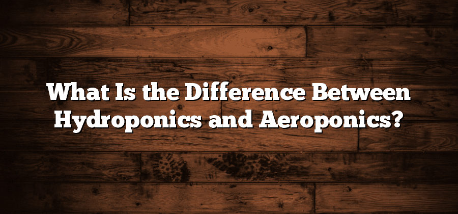 What Is the Difference Between Hydroponics and Aeroponics?