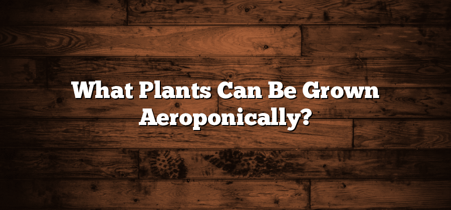 What Plants Can Be Grown Aeroponically?