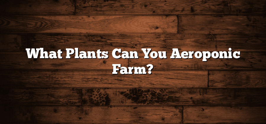 What Plants Can You Aeroponic Farm?