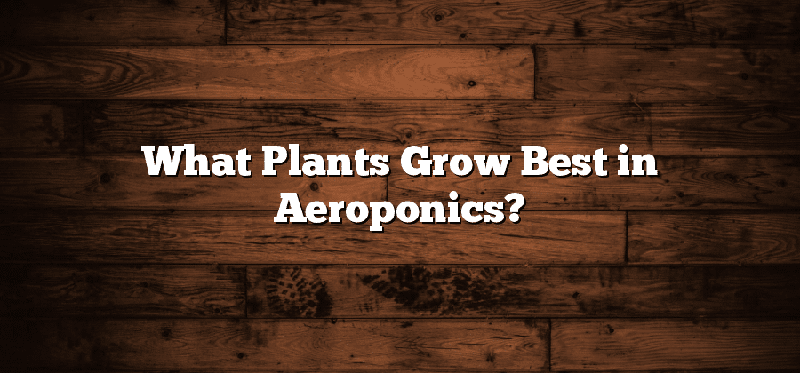 What Plants Grow Best in Aeroponics?