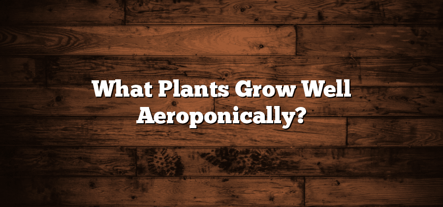 What Plants Grow Well Aeroponically?