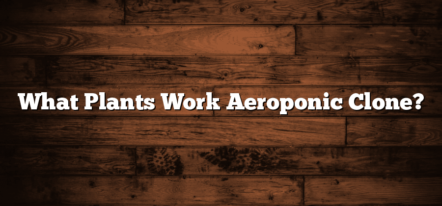 What Plants Work Aeroponic Clone?