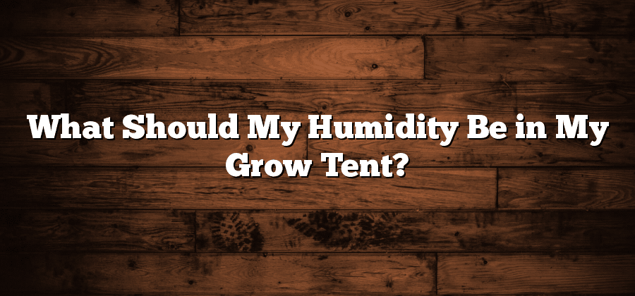 What Should My Humidity Be in My Grow Tent?