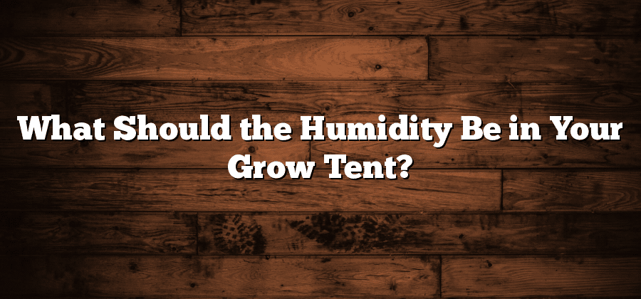What Should the Humidity Be in Your Grow Tent?