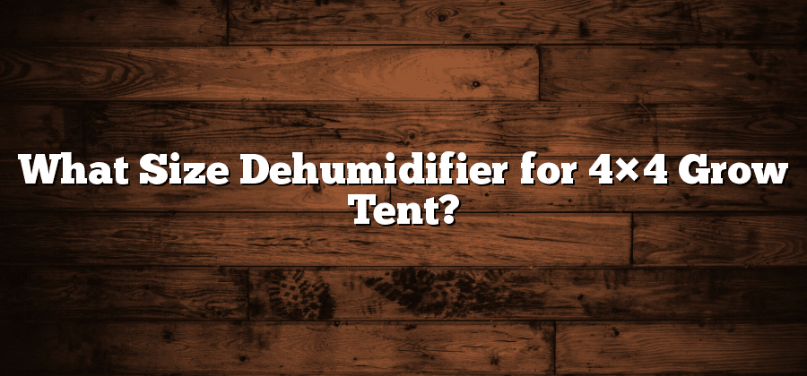 What Size Dehumidifier for 4×4 Grow Tent?